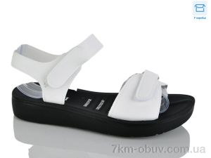 купить YiYi Y55-2 оптом