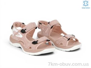 купить Allshoes 208354 оптом