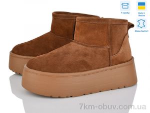 купить Stella Y2 оптом