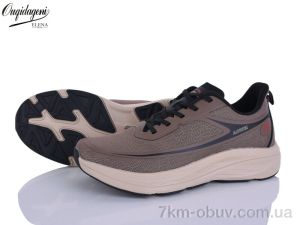 купить Dageni A2773-17 оптом