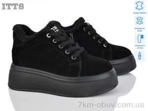 купить ITTS DD7571-1 оптом