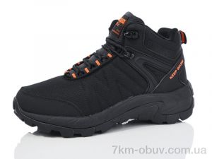 купить Boteli M364-3 оптом