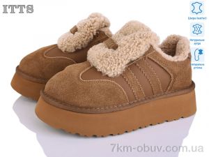 купить ITTS S7981-4 оптом