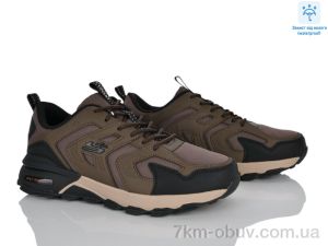 купить Olimp 7582-6 оптом