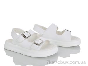 купить KIMBOO FG60-3C оптом