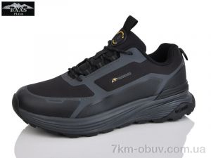 купить Baas L1888-21 оптом