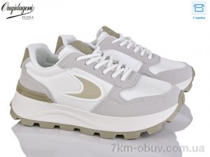 купить оптом Dageni C6603-5