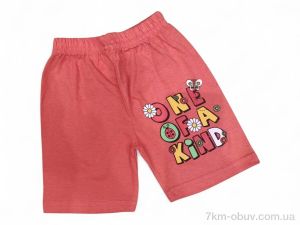 купить Kids-modnik 2337 помаранчевий оптом