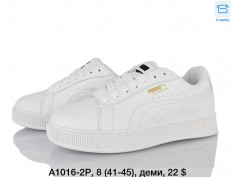 купить Dageni A1016-2P оптом