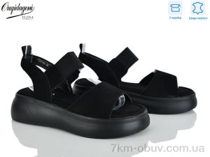 купить Dageni F227-8A оптом