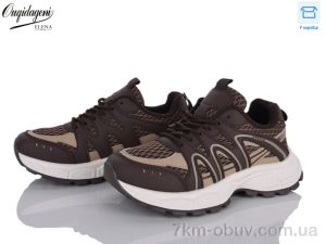 купить оптом Dageni A6003-5