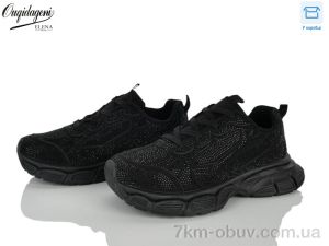 купить Dageni 98029-1 оптом