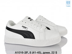 купить Dageni A1016-3P оптом