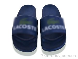 купить Kaia M-LC04-60 оптом