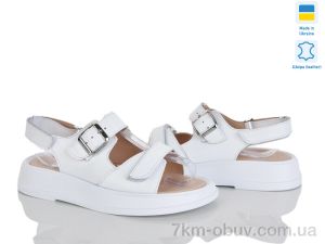 купить Ailinda 419-8 оптом