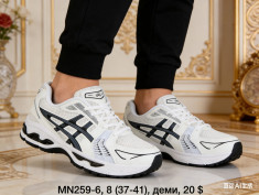 купить Dageni MN259-6 оптом