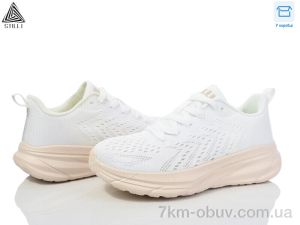 купить STILLI Group CX1160-6 піна оптом