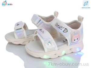 купить BBT L858-2-2 LED оптом