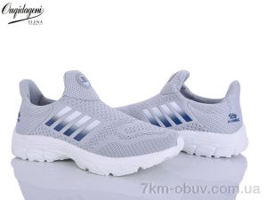 купить Dageni A99352-14 оптом