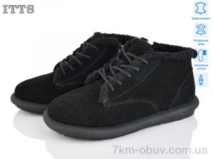 купить ITTS DX12-1 оптом