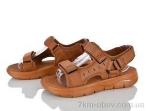 купить Захар-Gold 07522 піна оптом