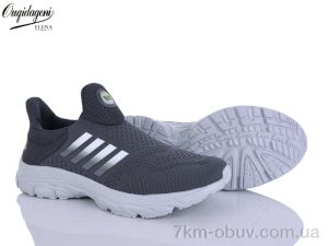 купить Dageni A99352-3 оптом