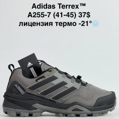 купить Sen.dini A255-7 оптом