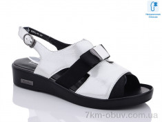 купить MOLO 936L-5 оптом