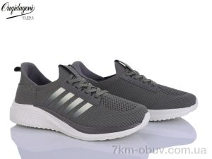 купить оптом Dageni A2590-24