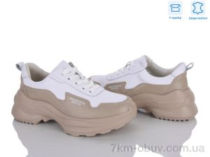 купить Захар-Gold C669-36 піна оптом