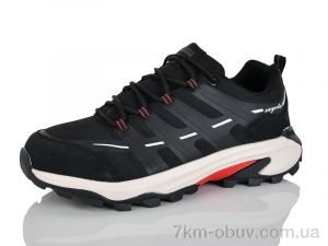 купить AVM 316-3 оптом