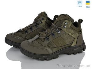 купить Paolla 2210 зелений оптом