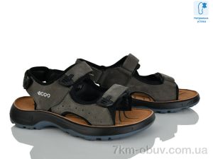 купить KIMBOO T61-4L оптом