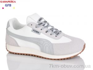 купить GFB-Канарейка Q540-4 оптом