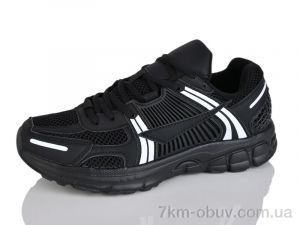 купить Moli B8029-1 оптом