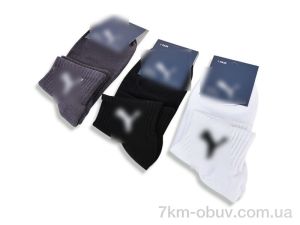 купить оптом Obuvok X99XL (99079) mix