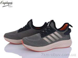 купить оптом Dageni B2526-24