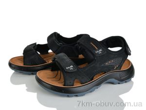 купить оптом KIMBOO T64-3A