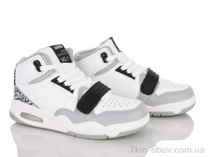 купить Clibee-ShoSho LC803 grey-black оптом
