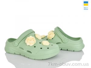 купить оптом Golden Lion 411 фісташки