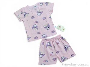 купить Kids-modnik 2619-1 комплект футболка-шорти пудровий оптом