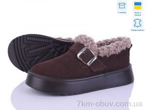 купить Stella EVA32 кор.з. оптом