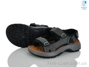 купить KIMBOO T66-2D оптом
