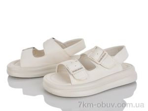 купить KIMBOO FG60-2M оптом