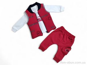 купить Kids-modnik 22115 червоний жилетка-реглан-штани оптом