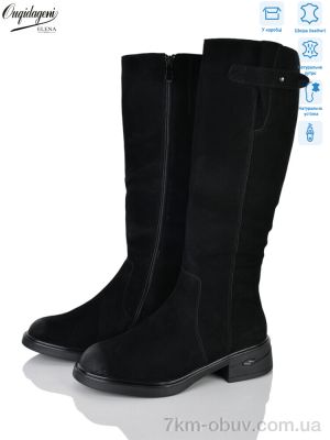 купить Dageni FBG419-2Z єврохутро оптом