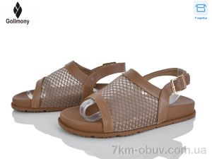 купить Gollmony V12-1 brown оптом