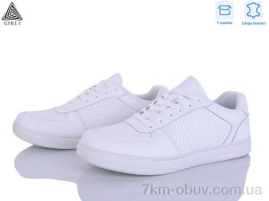 купить STILLI Group L170-1 шкіра оптом