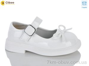 купить Clibee-Apawwa DB800 white оптом