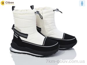 купить оптом Clibee TJ1013P-1  white